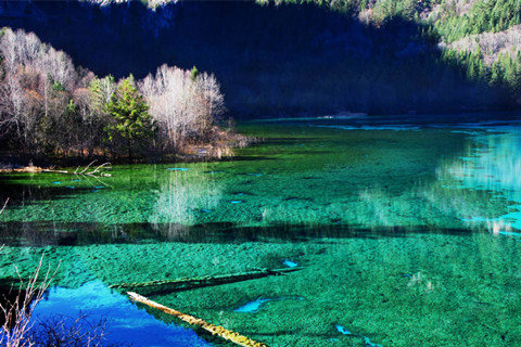 5 Days Chengdu to Jiuzhaigou Tour