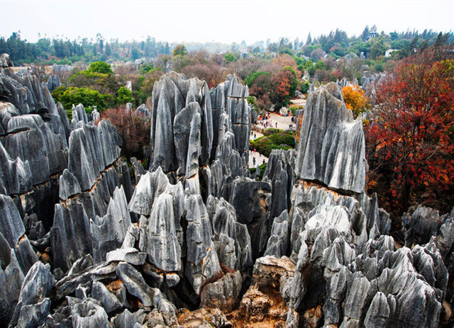 Bosque de Piedra