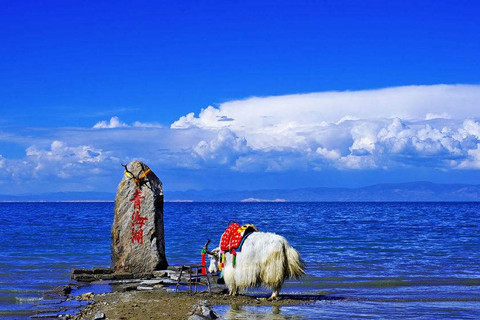 Qinghai Lake