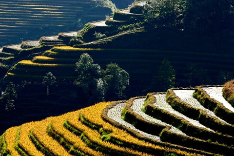 One Day Longji Rice Terraces Tour