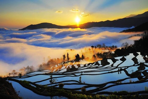 Yuanyang Rice Terraces