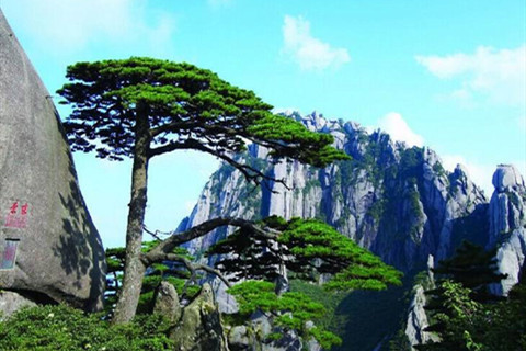 4 Days Huangshan Hiking Tour