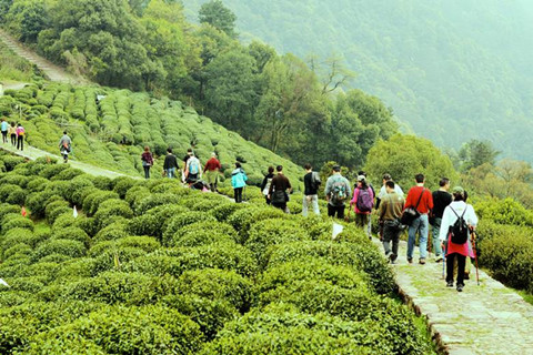 Meijiawu Tea Village