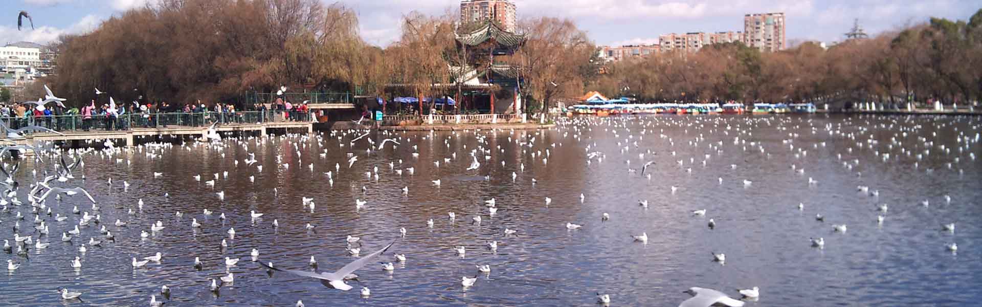 Kunming Tours