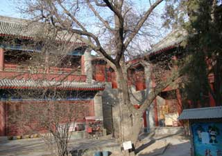 Beijing Bailin Temple, Cypress Forest Temple