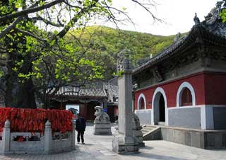 Templo de los Orígenes del Dharma (Templo Fayuan)