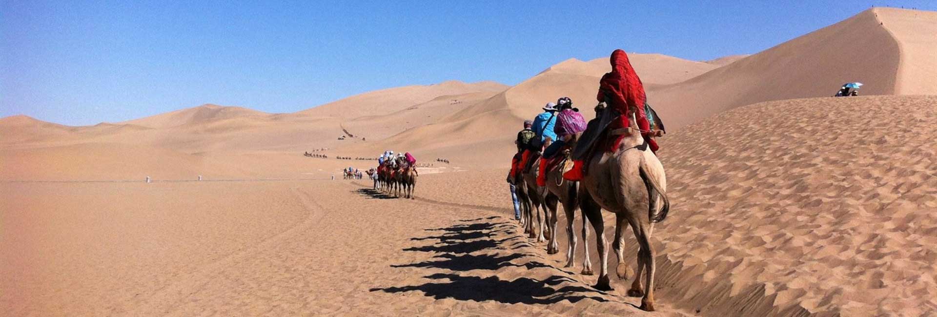 Silk Road Tours